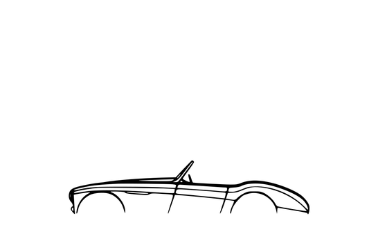 Austin-Healey 100 1954