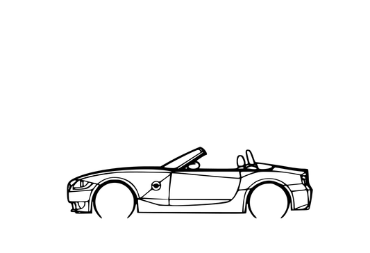 BMW Z4M e85