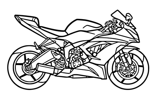 Kawasaki Ninja XR6