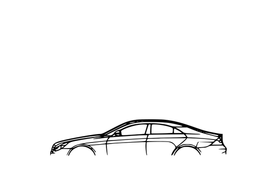 Mercedes CLS55 W219