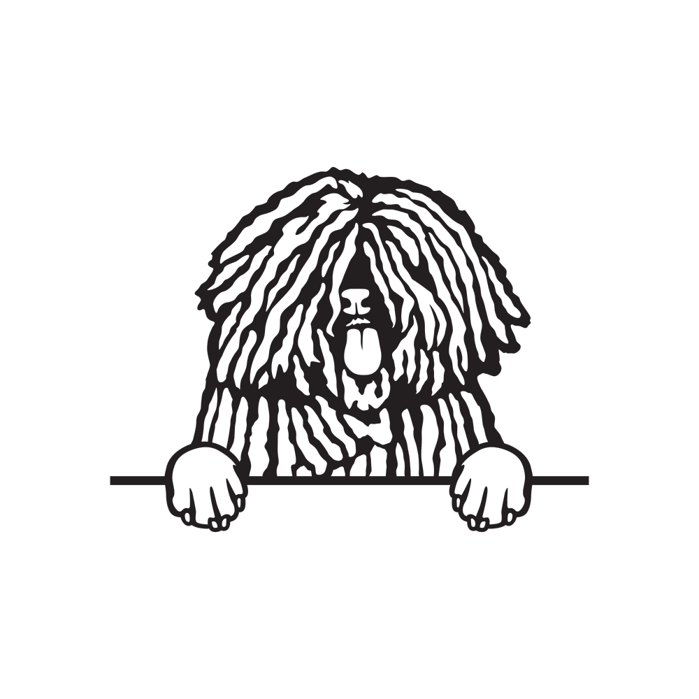 Пули