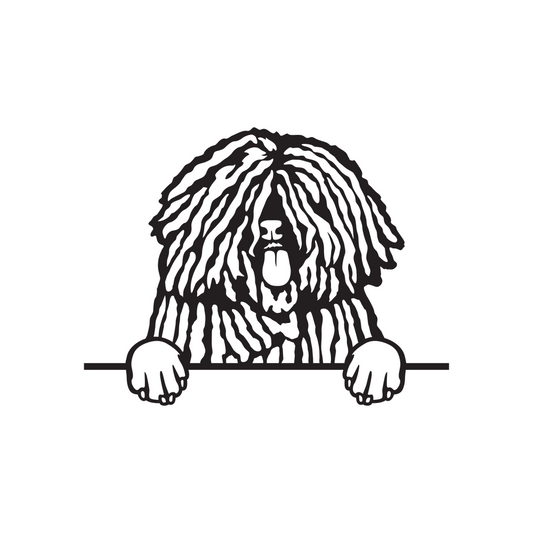 Пули