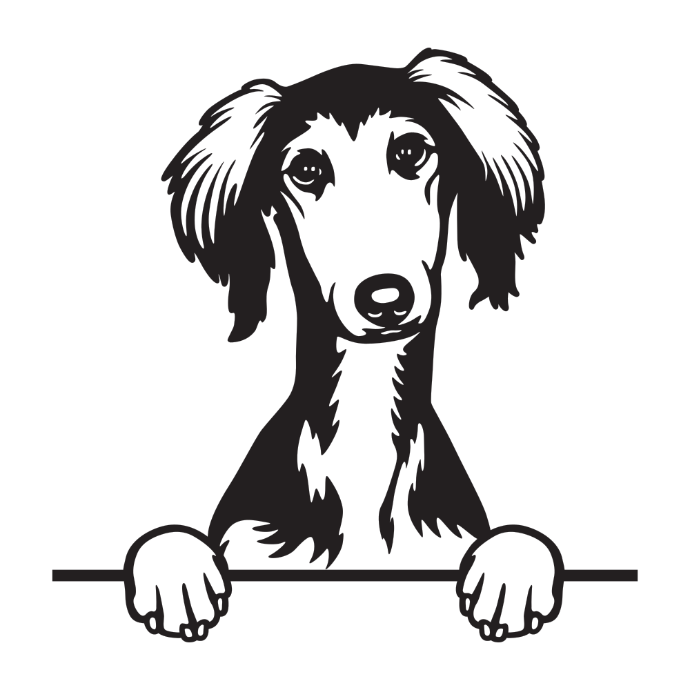 Салюк